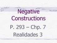 Negative Constructions