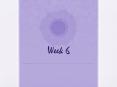 Week 6 PowerPoint PPT Presentation