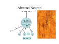 Abstract Neuron PowerPoint PPT Presentation