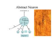 Abstract Neuron