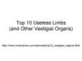 Top 10 Useless Limbs (and Other Vestigial Organs) PowerPoint PPT Presentation