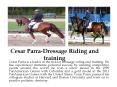 Cesar Parra-Dressage Riding and training PowerPoint PPT Presentation