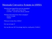 Mesoscale Convective Systems in AMMA