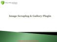 Image Scraping & Gallery Plugin (1) PowerPoint PPT Presentation