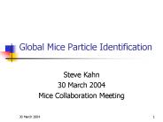 Global Mice Particle Identification