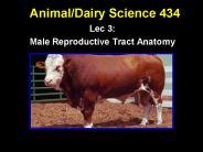 Animal/Dairy Science 434