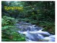 Rainforest PowerPoint PPT Presentation