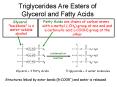 Triglycerides Are Esters of Glycerol and Fatty Acids PowerPoint PPT Presentation