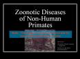 Zoonotic Diseases of Non-Human Primates PowerPoint PPT Presentation