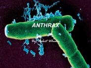 ANTHRAX