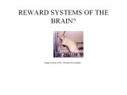 REWARD SYSTEMS OF THE BRAIN?