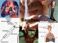 Rauchen PowerPoint PPT Presentation
