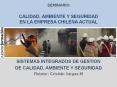 SEMINARIO CALIDAD, AMBIENTE Y SEGURIDAD EN LA EMPRESA CHILENA ACTUAL PowerPoint PPT Presentation