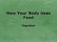 How Your Body Uses Food PowerPoint PPT Presentation