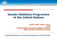 Gender Statistics Programme at the United Nations PowerPoint PPT Presentation