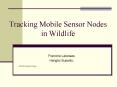 Tracking Mobile Sensor Nodes in Wildlife PowerPoint PPT Presentation