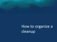 How to organize a cleanup PowerPoint PPT Presentation