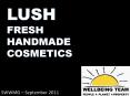 LUSH FRESH HANDMADE COSMETICS PowerPoint PPT Presentation