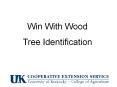 Win With Wood PowerPoint PPT Presentation