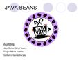 JAVA BEANS PowerPoint PPT Presentation