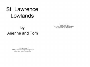 St. Lawrence Lowlands
