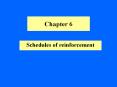 Schedules of reinforcement PowerPoint PPT Presentation
