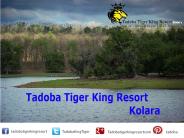 Hotels and Resorts in Tadoba