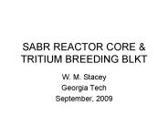 SABR REACTOR CORE
