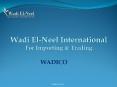 Wadi El-Neel International For Importing PowerPoint PPT Presentation