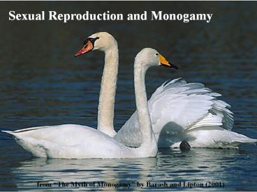 Sexual Reproduction and Monogamy