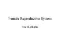 Female Reproductive System PowerPoint PPT Presentation