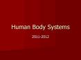 Human Body Systems PowerPoint PPT Presentation