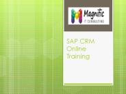 sap crm online training in Delhi