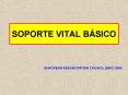 SOPORTE VITAL B PowerPoint PPT Presentation