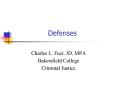 Defenses PowerPoint PPT Presentation