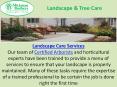 Mickman Landscape Care PowerPoint PPT Presentation