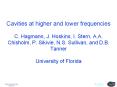 Cavities at higher and lower frequencies C. Hagmann, J. Hoskins, I. Stern, A.A. Chisholm, P. Sikivie, N.S. Sullivan, and D.B. Tanner University of Florida PowerPoint PPT Presentation
