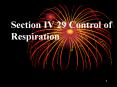Section IV 29 Control of Respiration PowerPoint PPT Presentation
