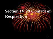 Section IV 29 Control of Respiration