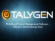 Web Based Project Management Software - Effective And Proficient Tool