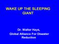 WAKE UP THE SLEEPING GIANT PowerPoint PPT Presentation