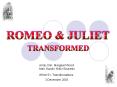 ROMEO PowerPoint PPT Presentation