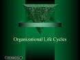 Organizational Life Cycles PowerPoint PPT Presentation