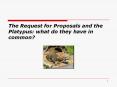 The Request for Proposals and the Platypus: what do they have in common? PowerPoint PPT Presentation
