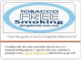 Total Help guide to Opt for E-cigarette Melbourne Kit PowerPoint PPT Presentation