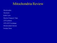 Mitochondria Review
