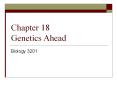 Chapter 18 Genetics Ahead PowerPoint PPT Presentation