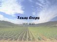 Texas Crops PowerPoint PPT Presentation