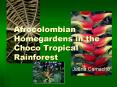Afrocolombian Homegardens in the Choco Tropical Rainforest PowerPoint PPT Presentation
