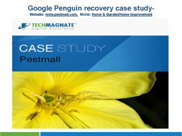 Case Study on Google Penguin Recovery